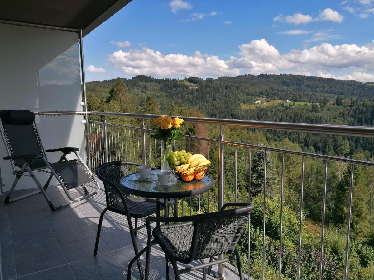 Apartament Widokowy Ul Bukowa Висла Экстерьер фото